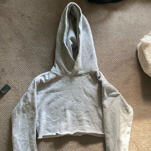 Aritzia Wilfred free cropped hoodie XXS